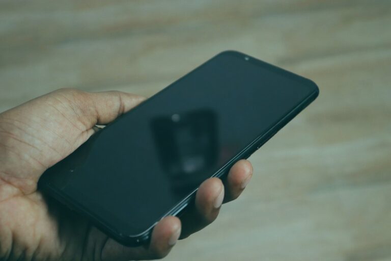 Hand holding a smartphone, social media reverse email search context.
